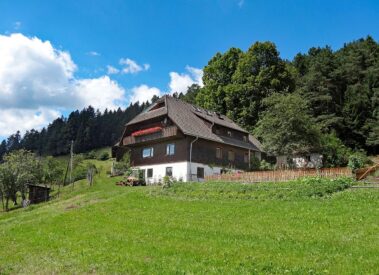 Ferien auf dem Berg unser Haus 01
