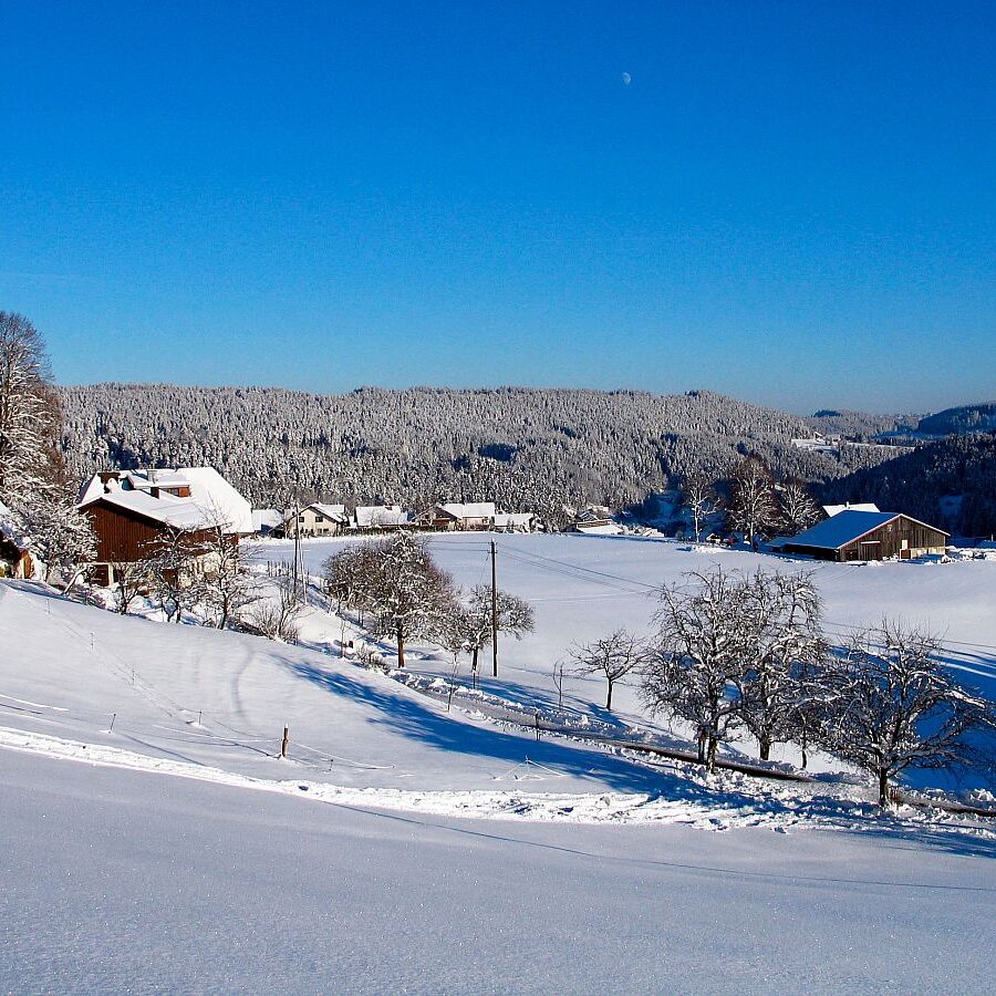 Winter Ferien auf dem Berg 1
