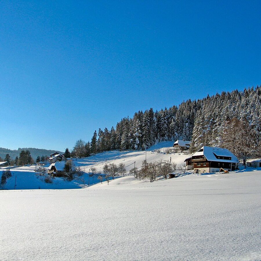 Winter Ferien auf dem Berg 2