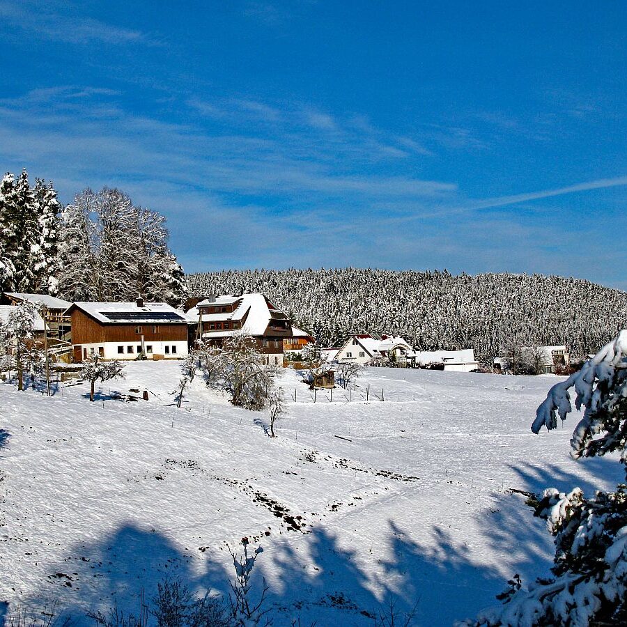 Winter Ferien auf dem Berg 3